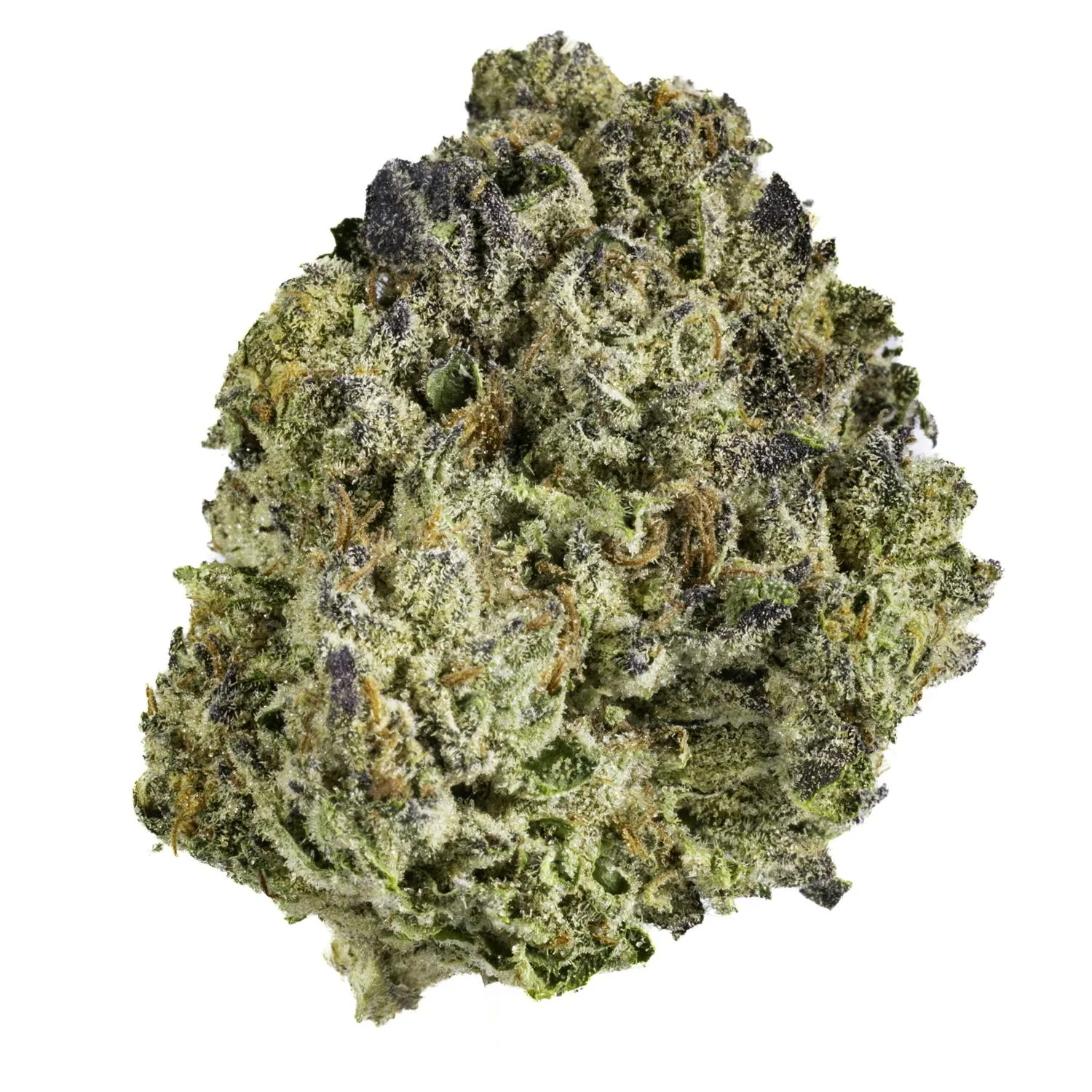 White Gushers - 28G Premium Flower