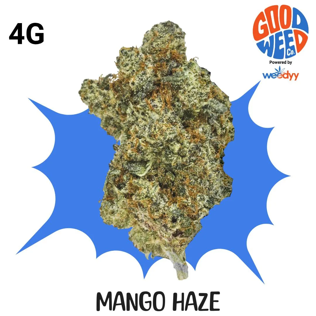 GOOD WEED CO - MANGO HAZE - 4G π₯π₯π₯π₯