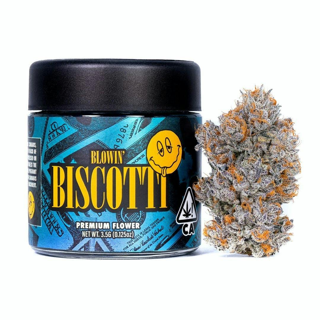 CONNECTED - Biscotti - Indoor