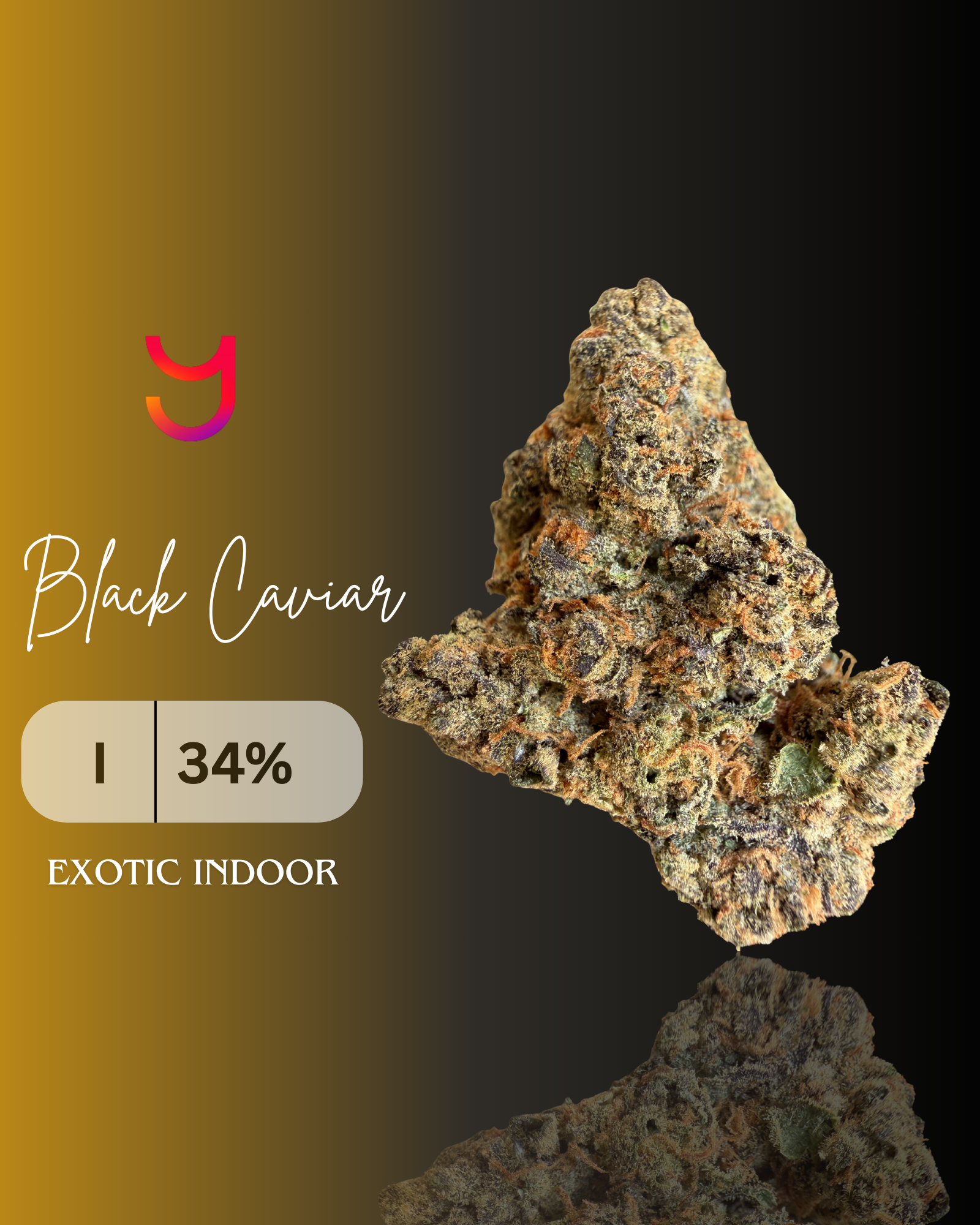Black Caviar: Indica | Top Shelf Indoor | 14G