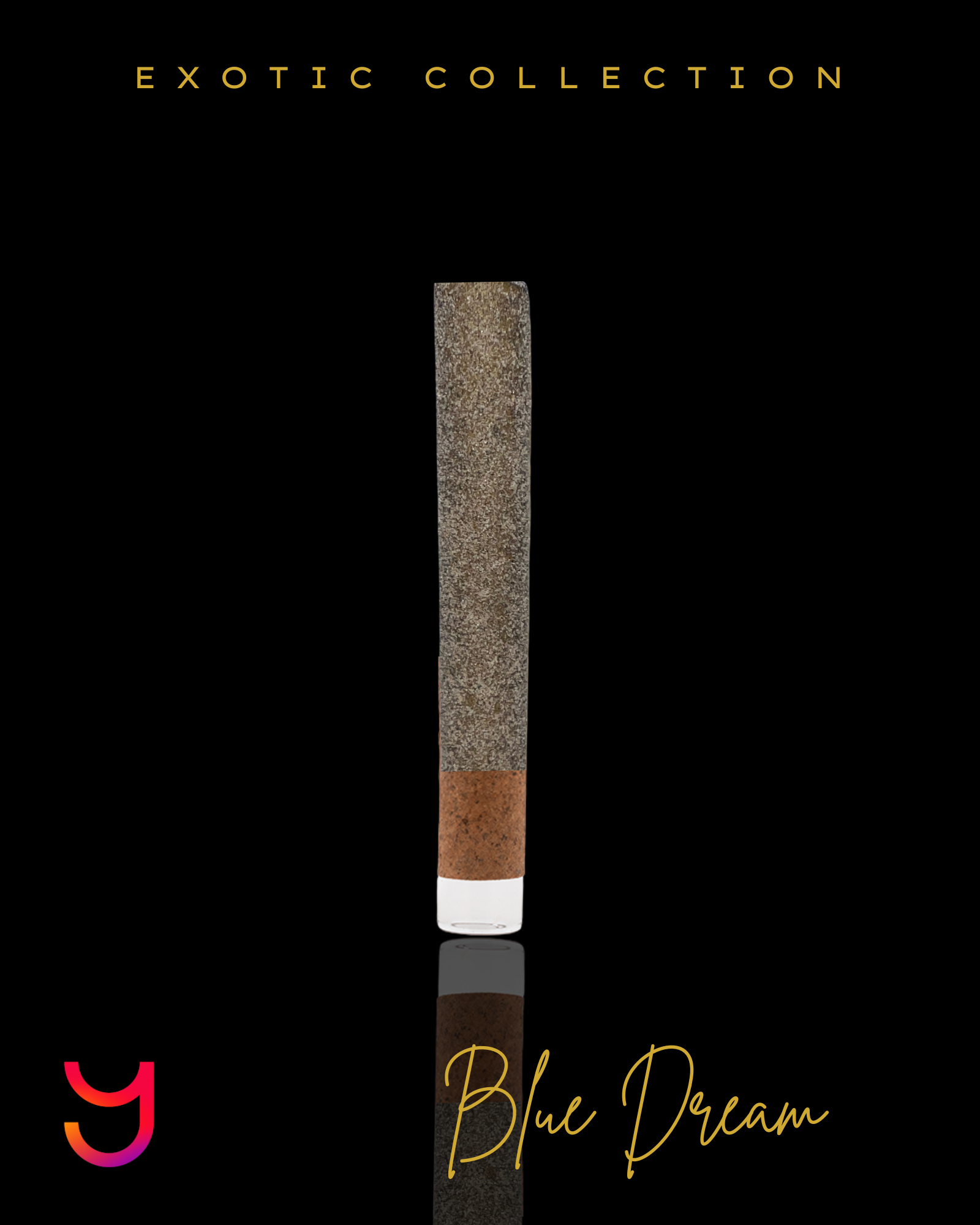 2G Blunt: Blue Dream | Kief Coated Glass Tip (S)