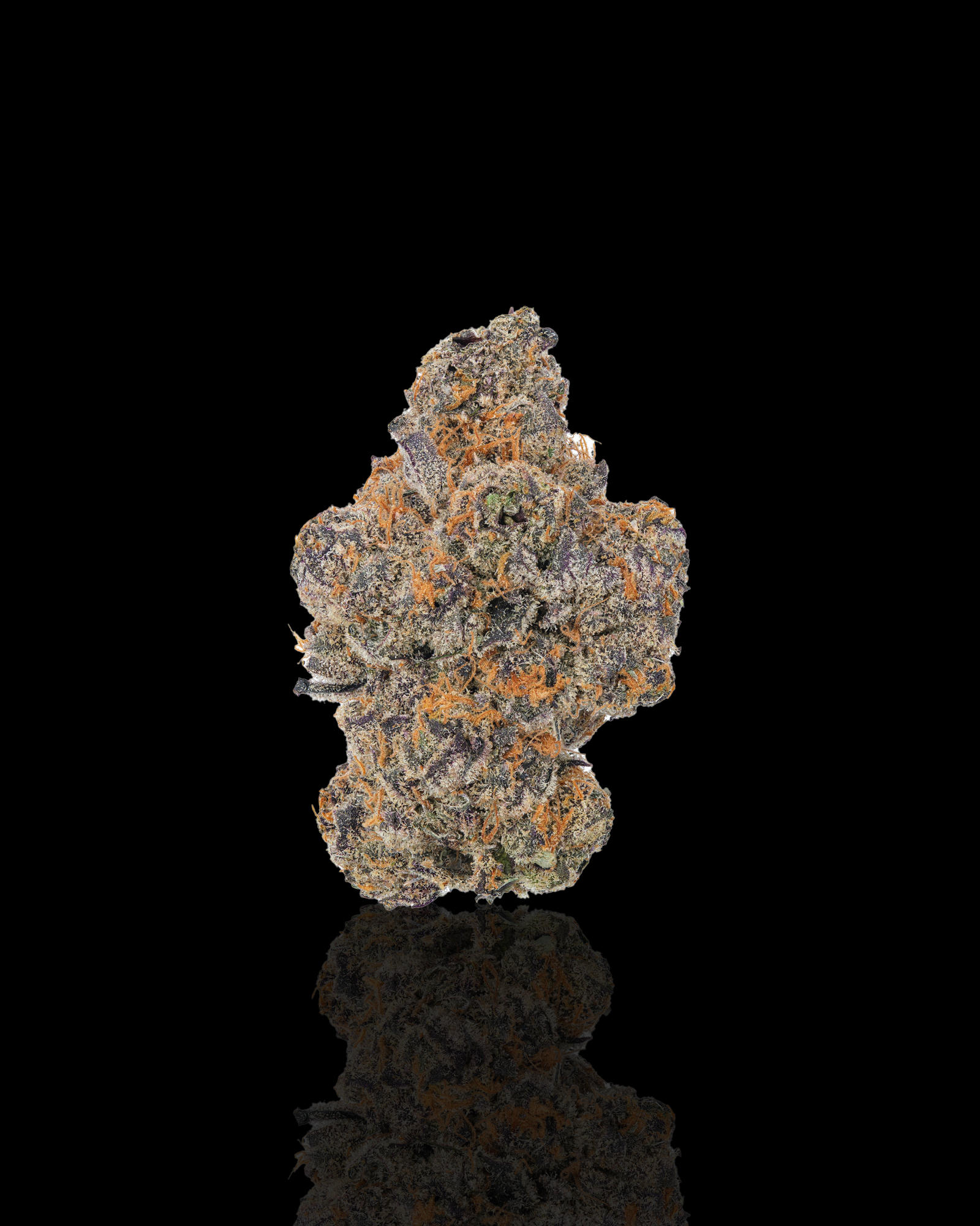 Cheetah Piss: Hybrid | 14G