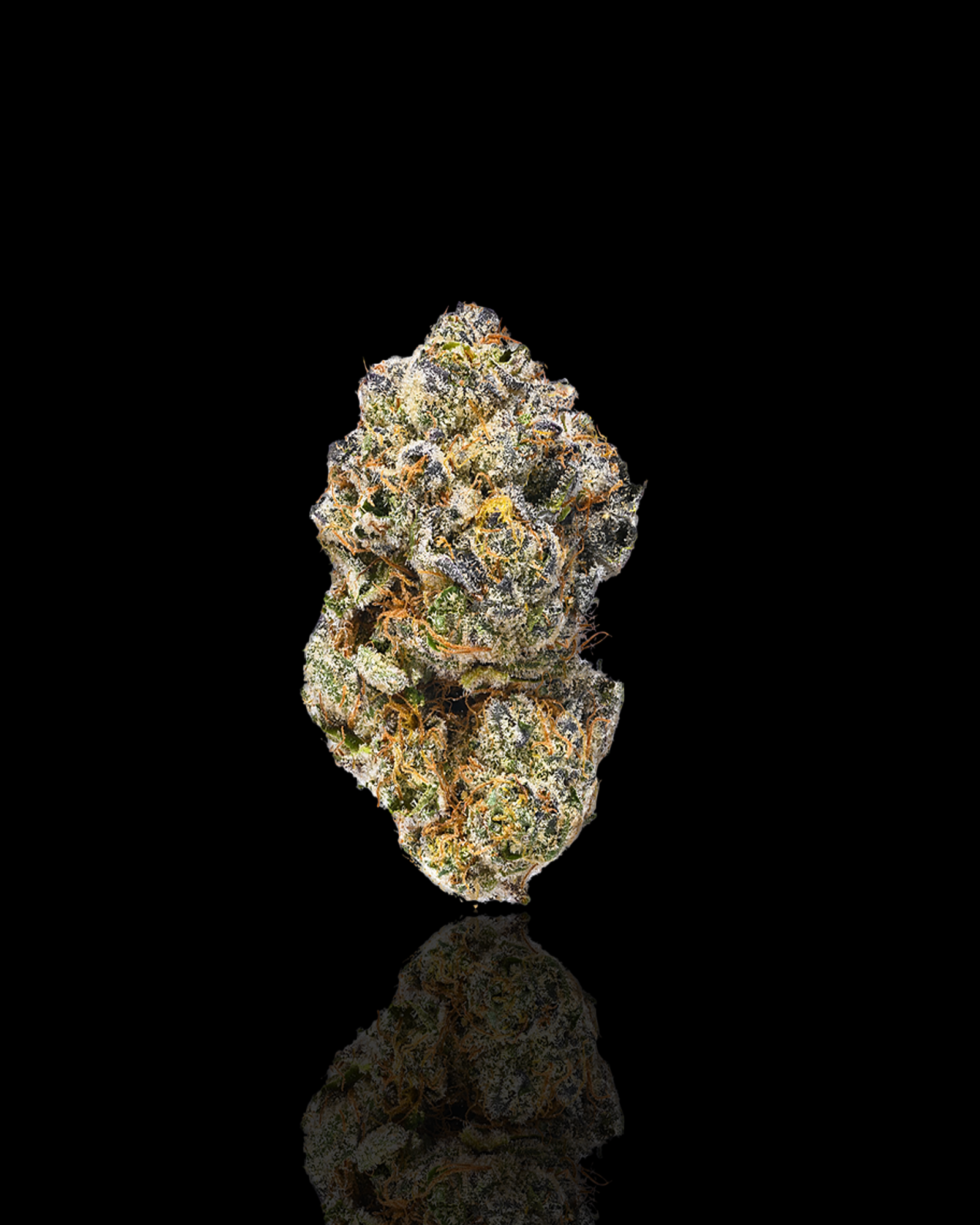 Skunk #1: Hybrid | 3.5G