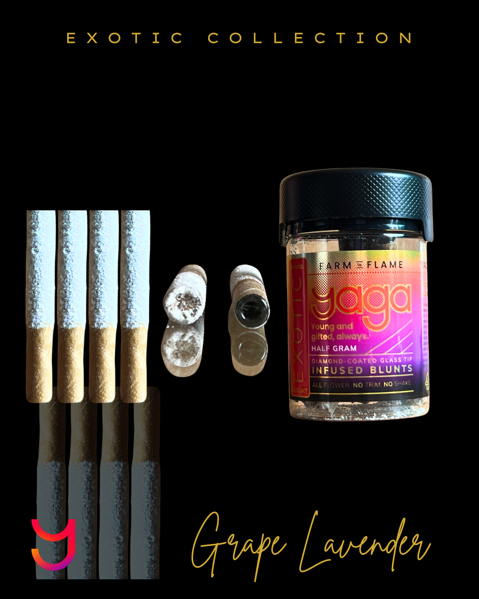 Blunts x6: Grape Lavender Diamond Coated .5G Glass Tip (Hybrid)