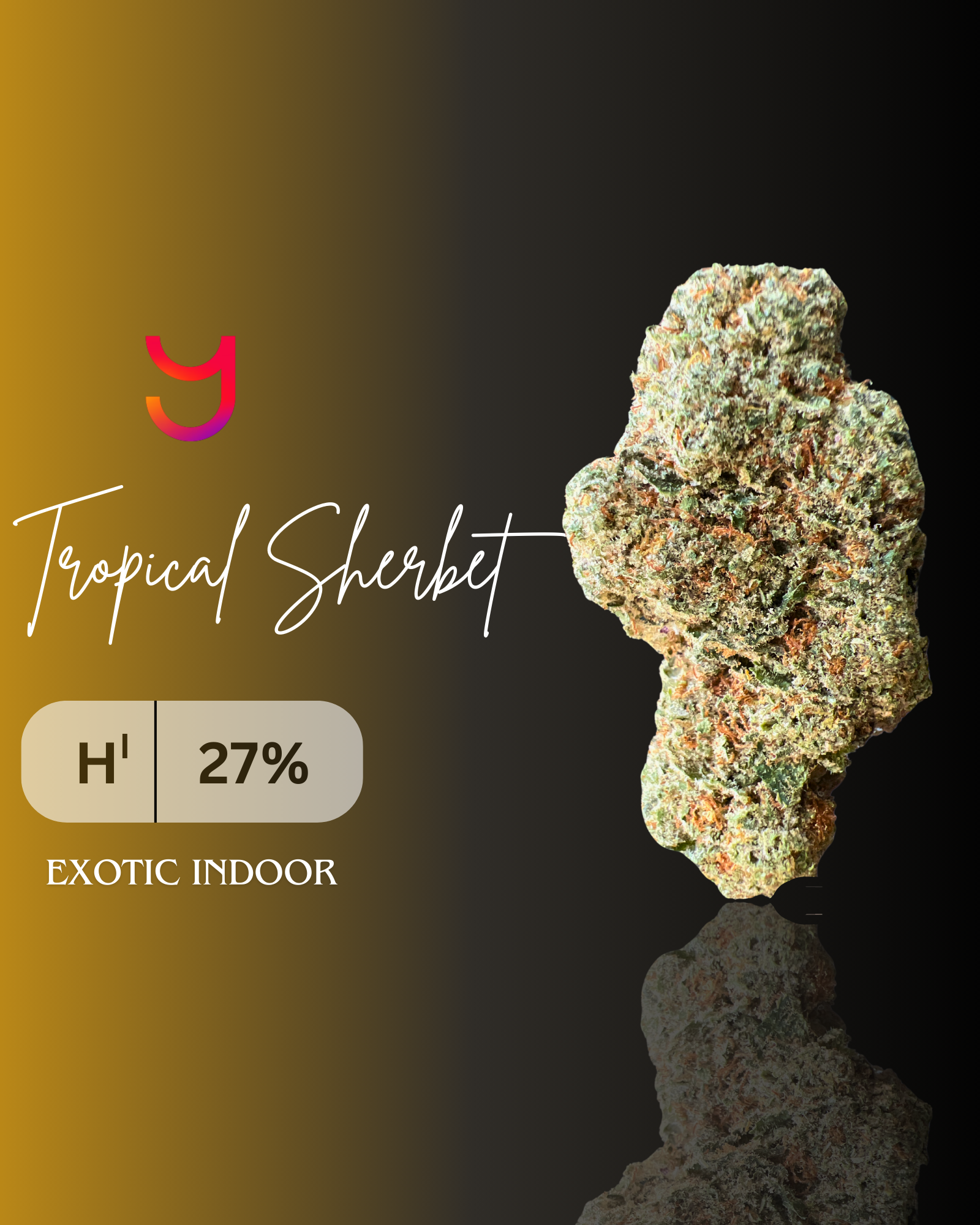 Wedding Cake: Hybrid | 3.5G