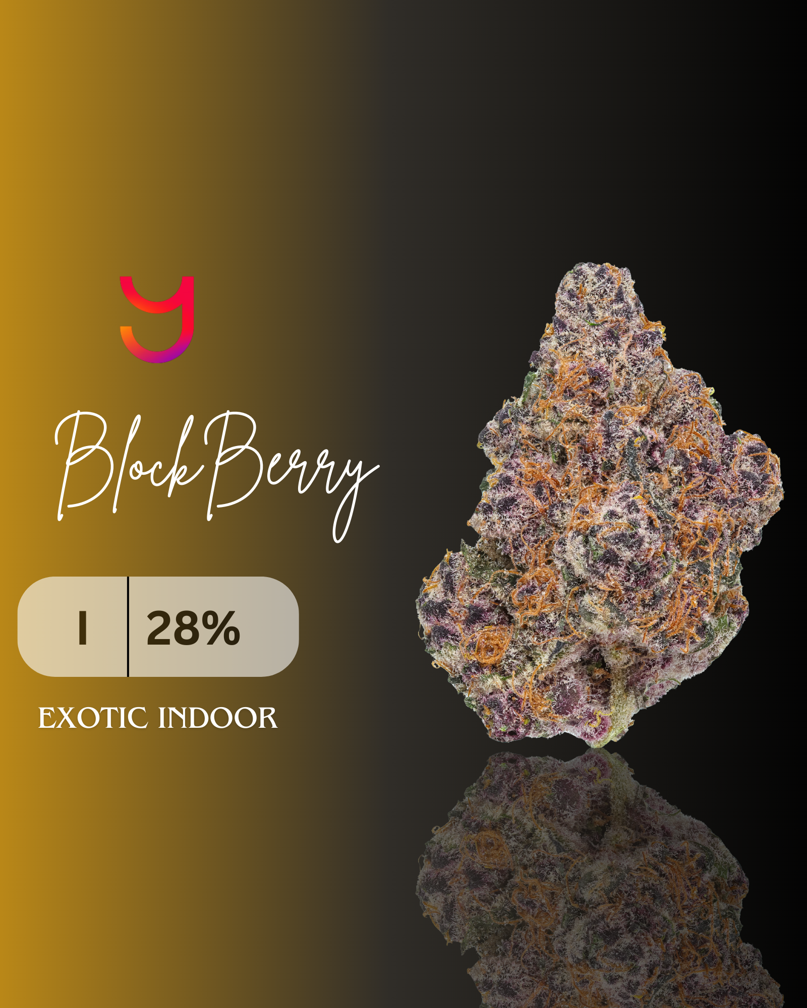 Blockberry Kush: Indica | Top Shelf Indoor | 14G