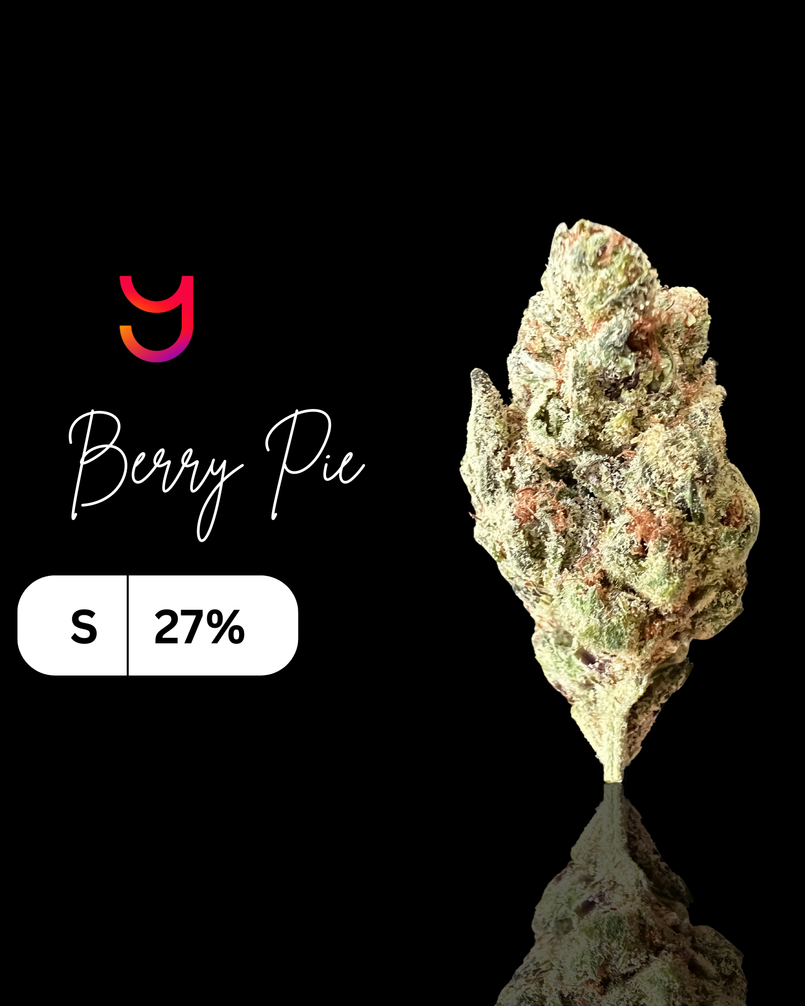 Berry Pie: Sativa | 14G
