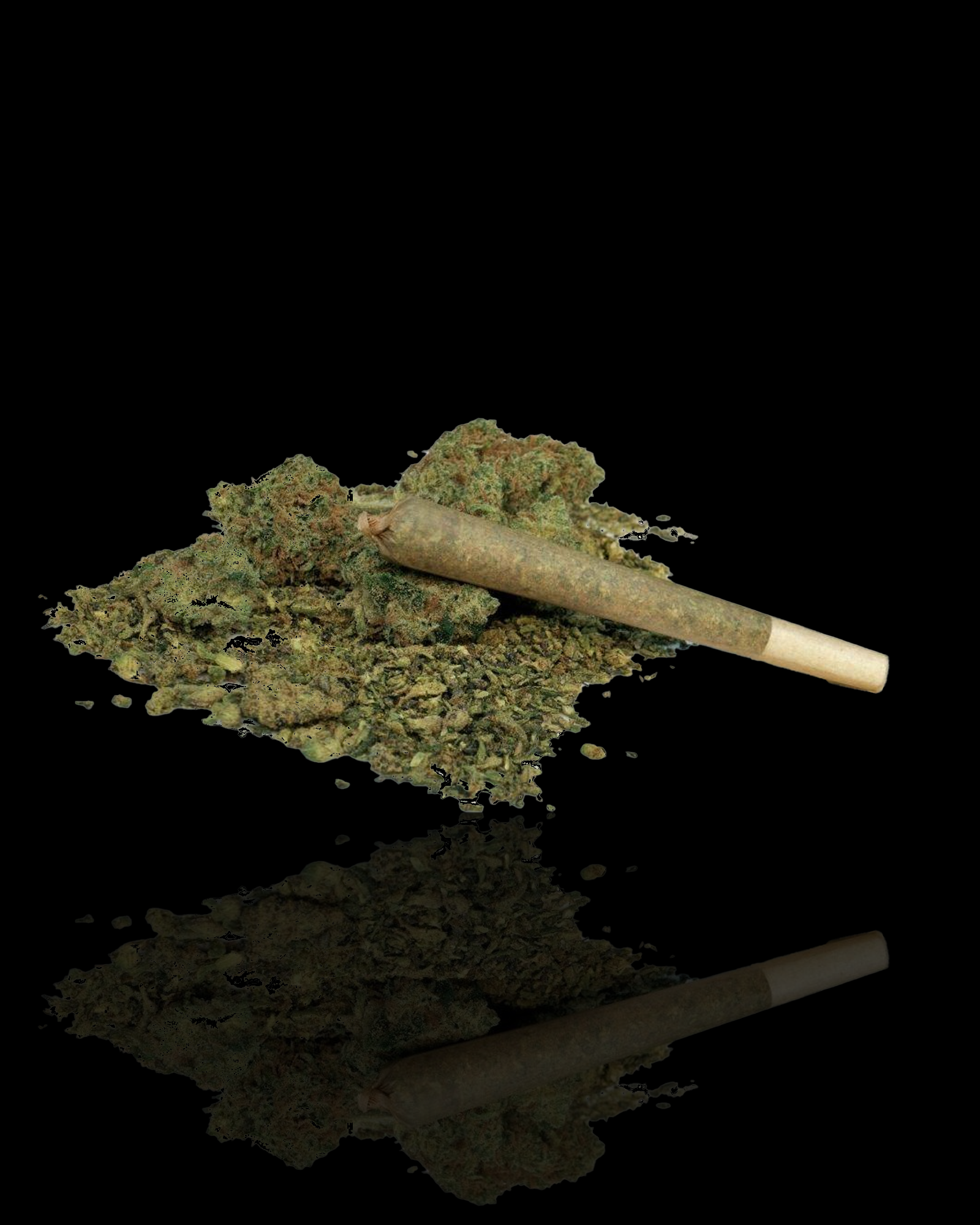 Sherb: Indica | 28G