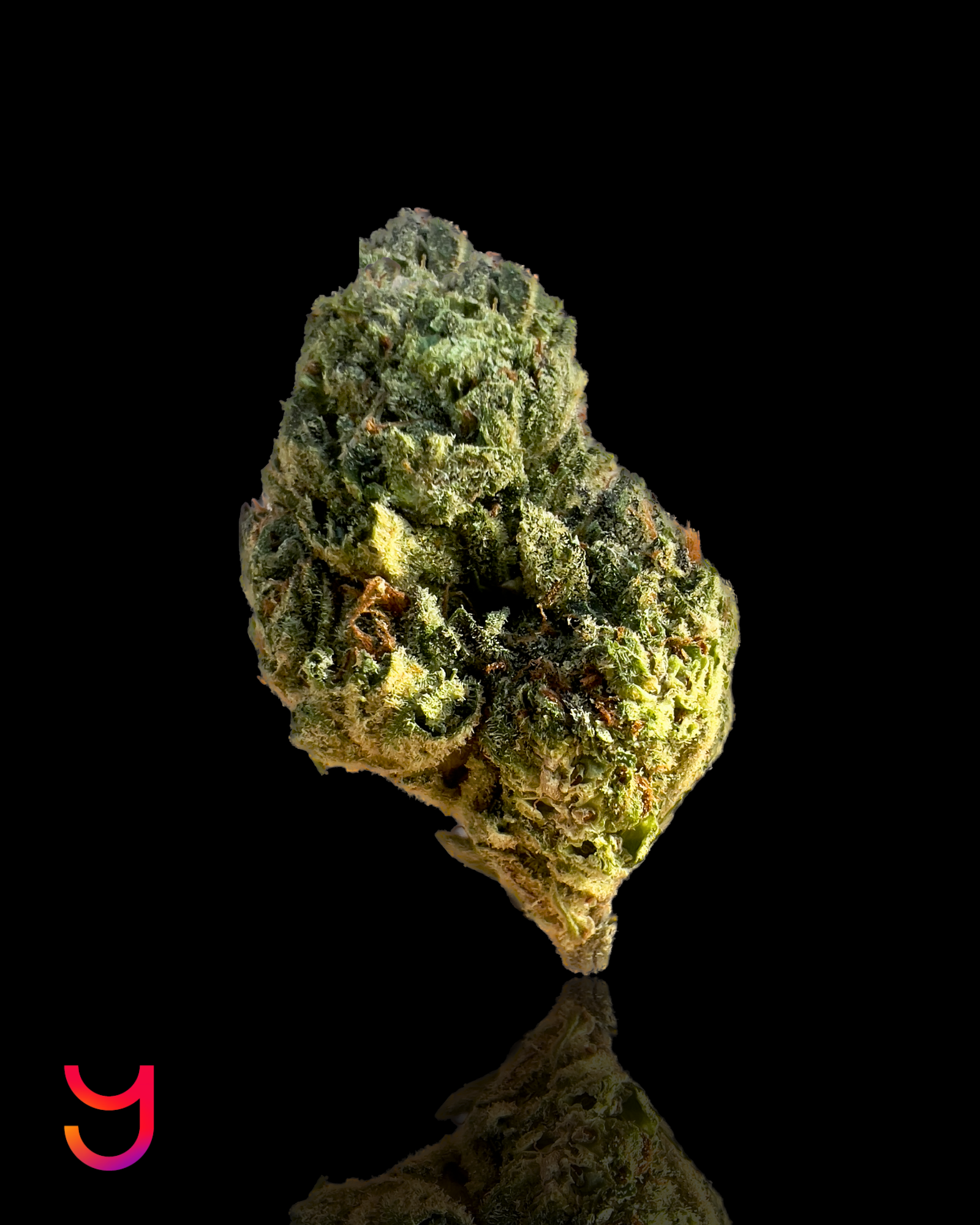 Cheelato: Indica | 3.5G