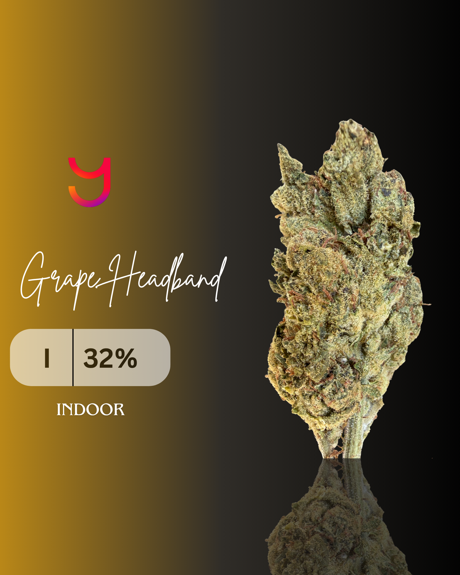 Grape Headband: Indica | 14G