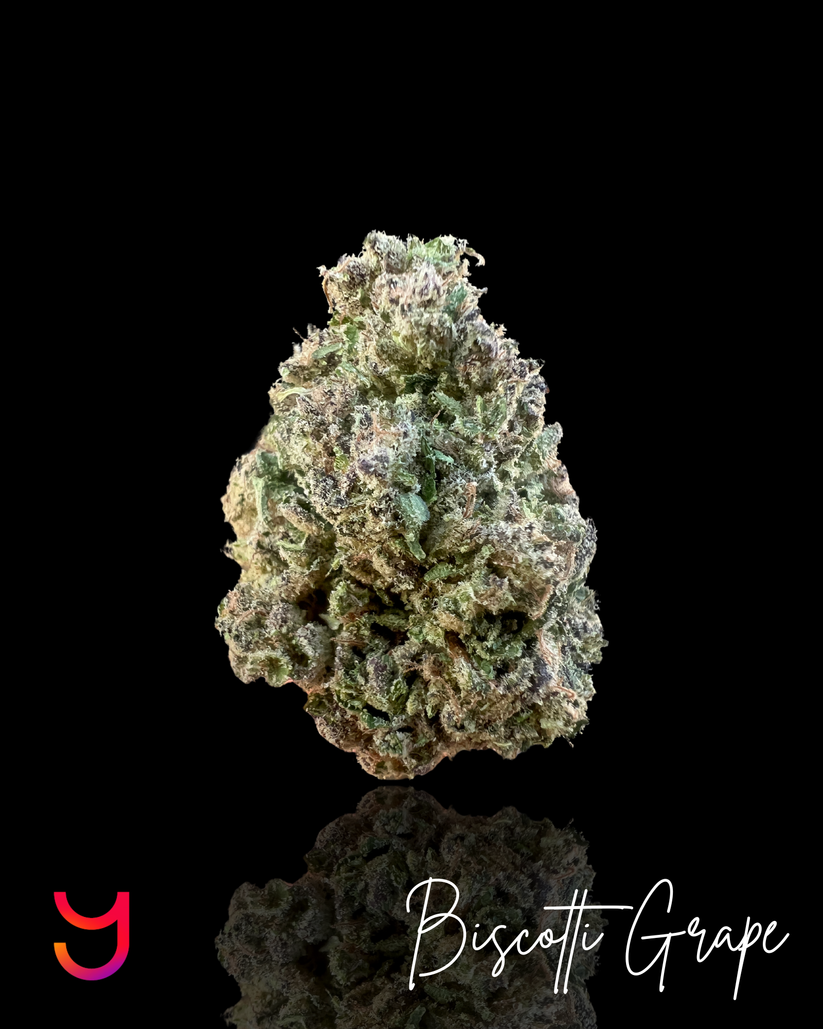 Biscotti Grape: Indica | 3.5G