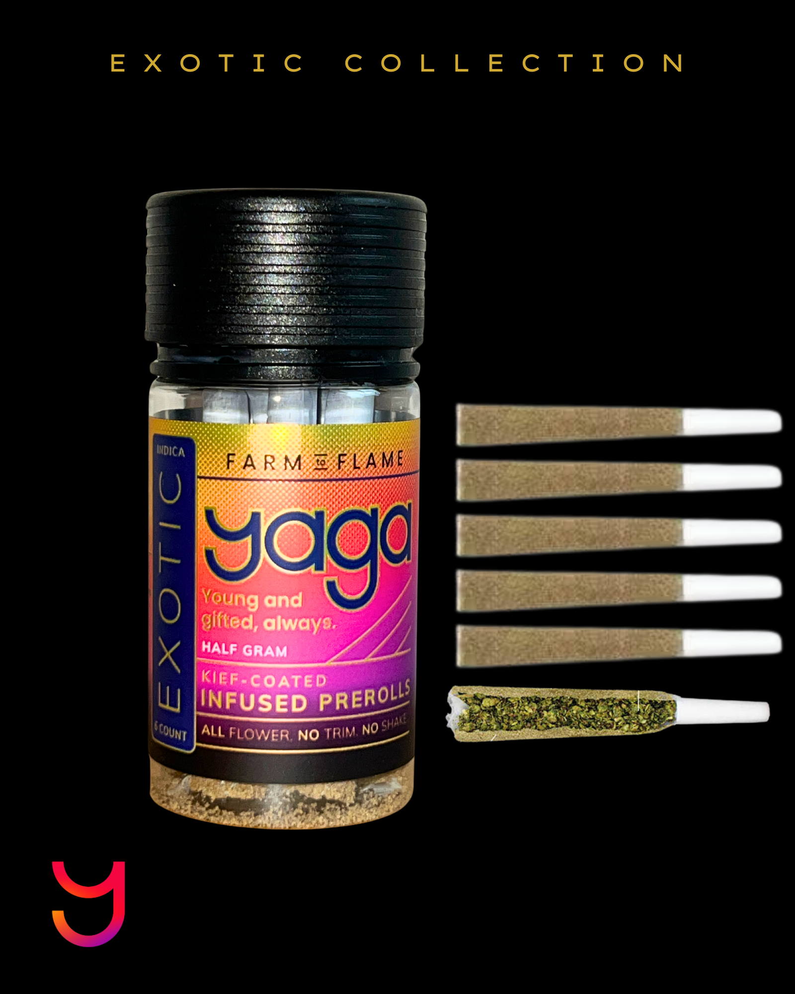 GMO Kief Coated Preroll .5G Six-Pack (Indica)