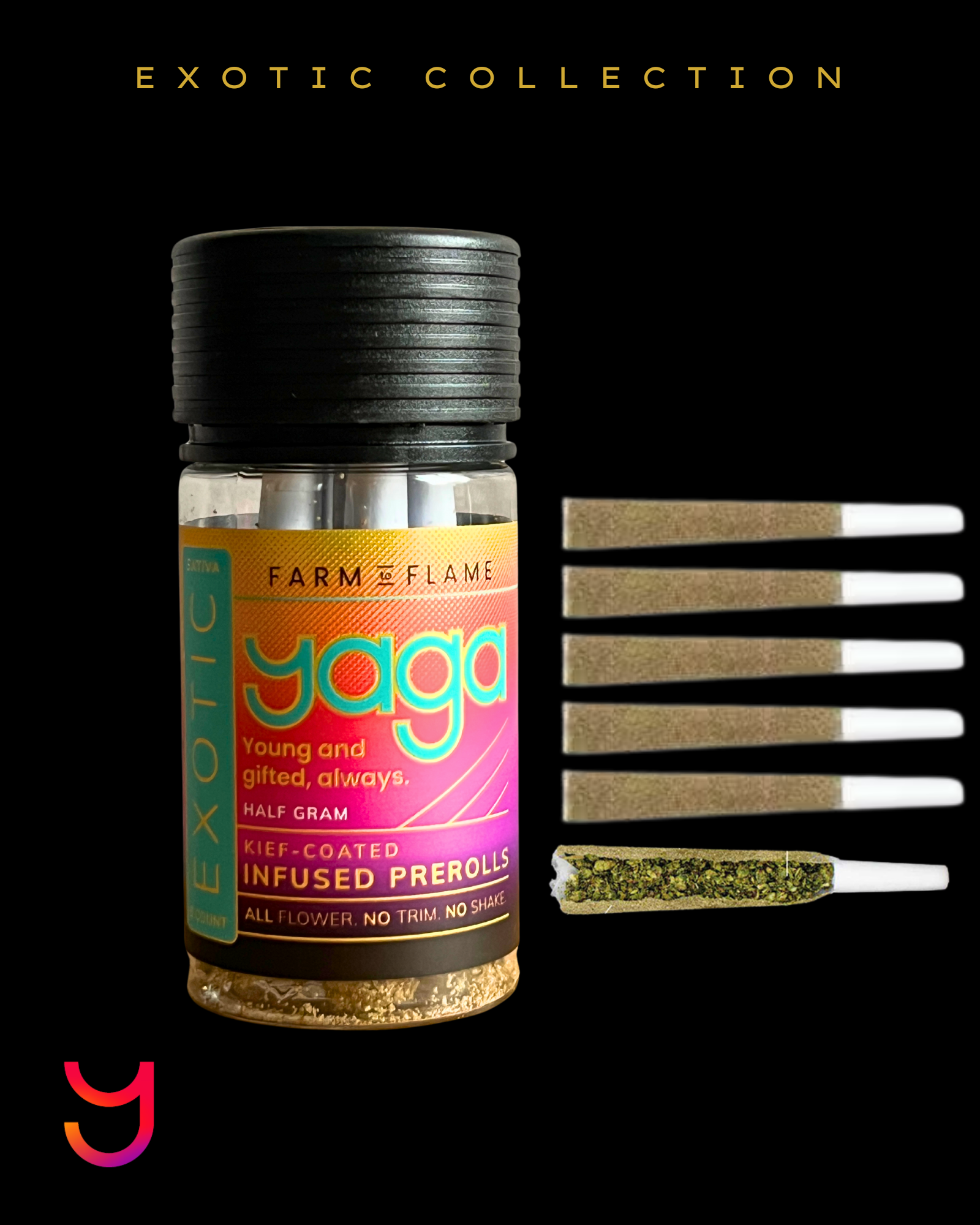 Blue Dream Kief Coated Preroll .5G Six-Pack (Sativa)