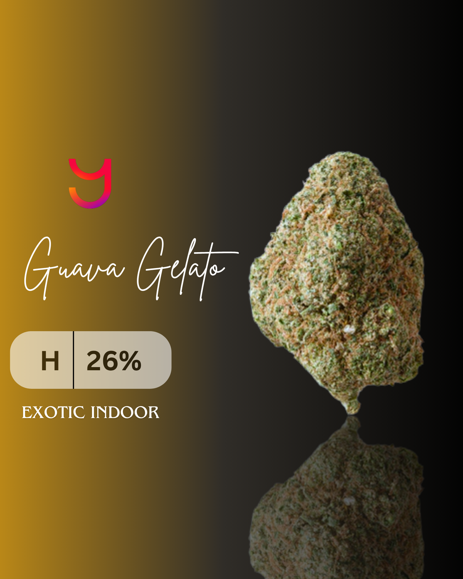 Guavalato: Hybrid | 14G