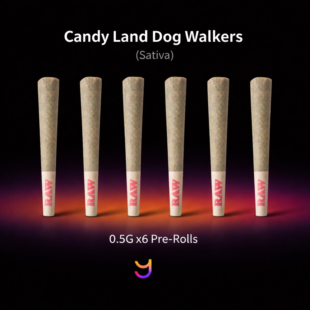 Candy Land (Sativa) .5G Six Pack of Dog Walkers