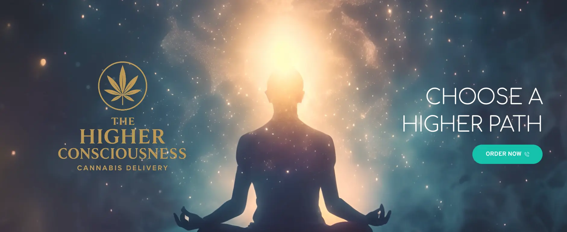 The Higher Consciousness