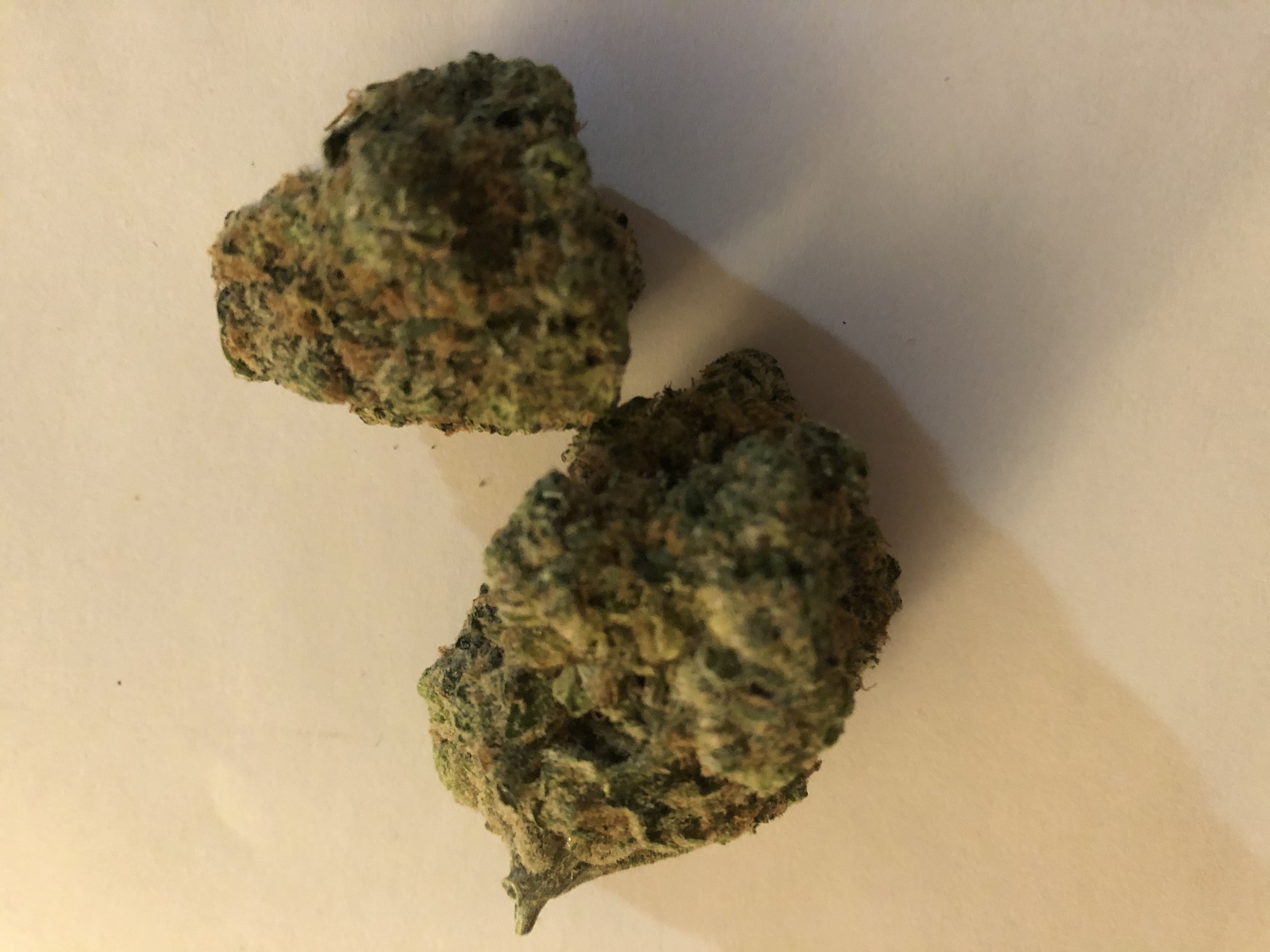 24k tangie