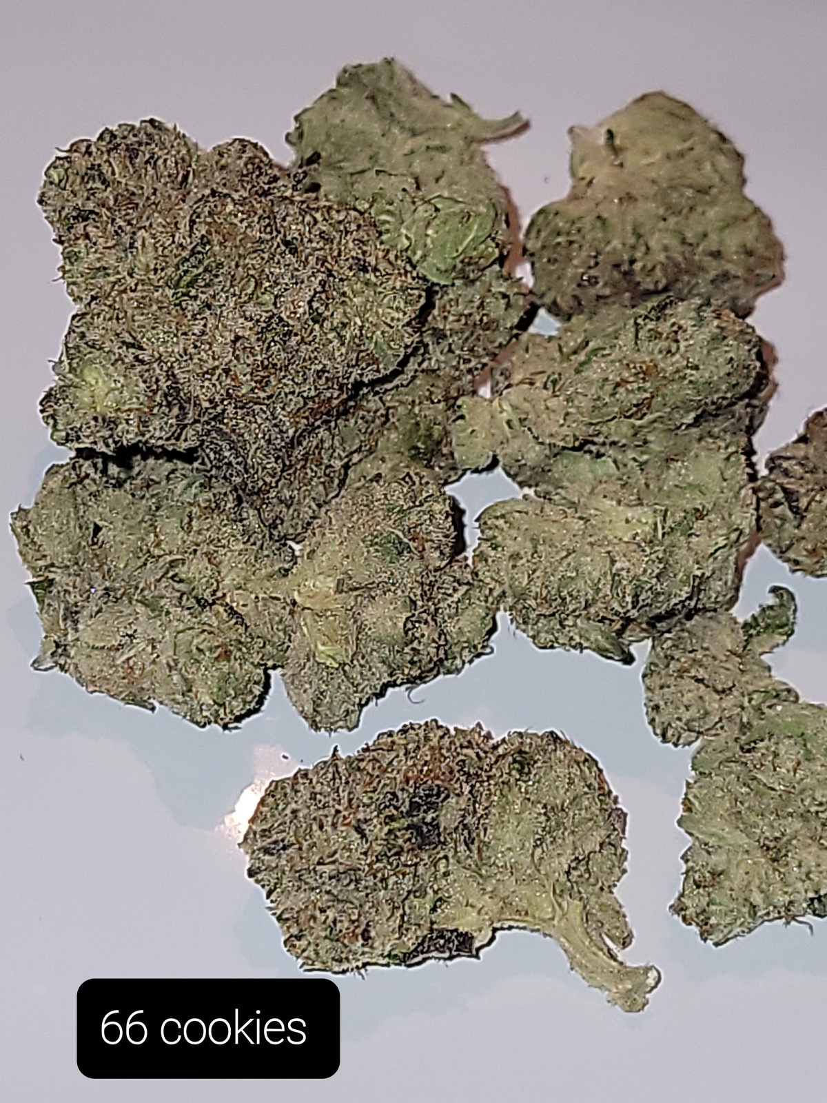 66 Cookies
