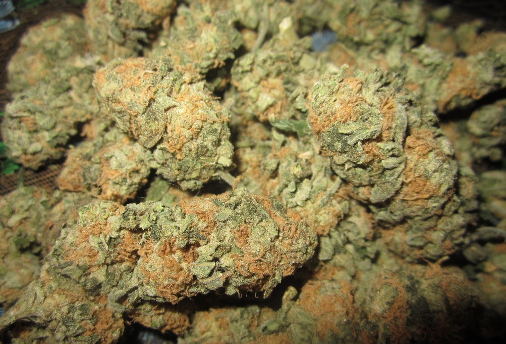 8 Ball Kush