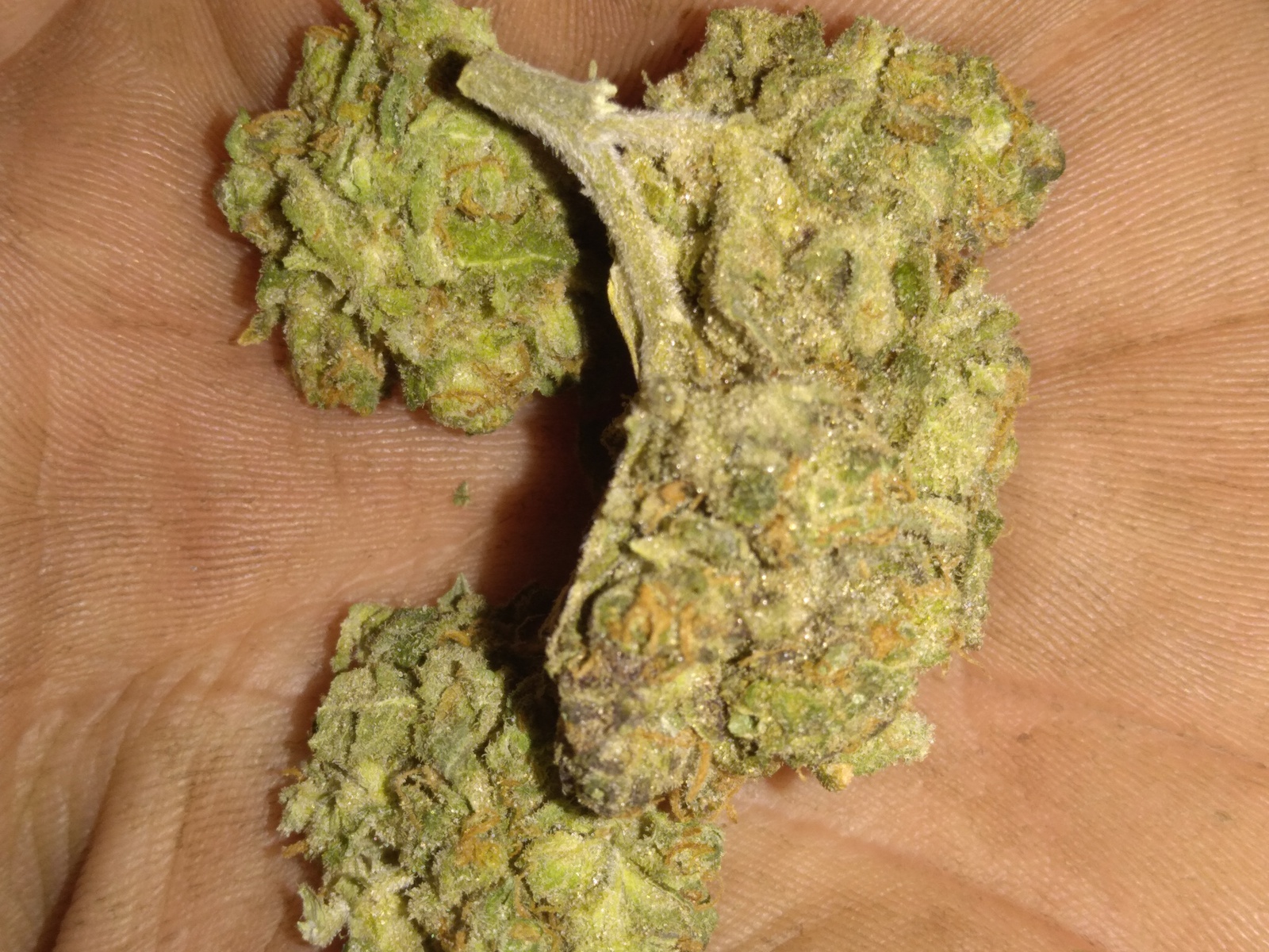 88 G-13