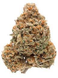 ACDC Cookies