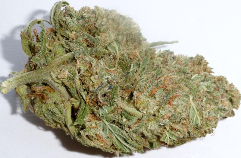 Ace of Haze