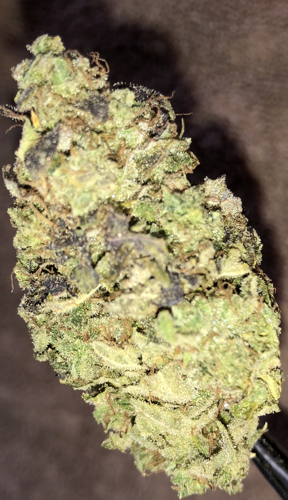 Ace High