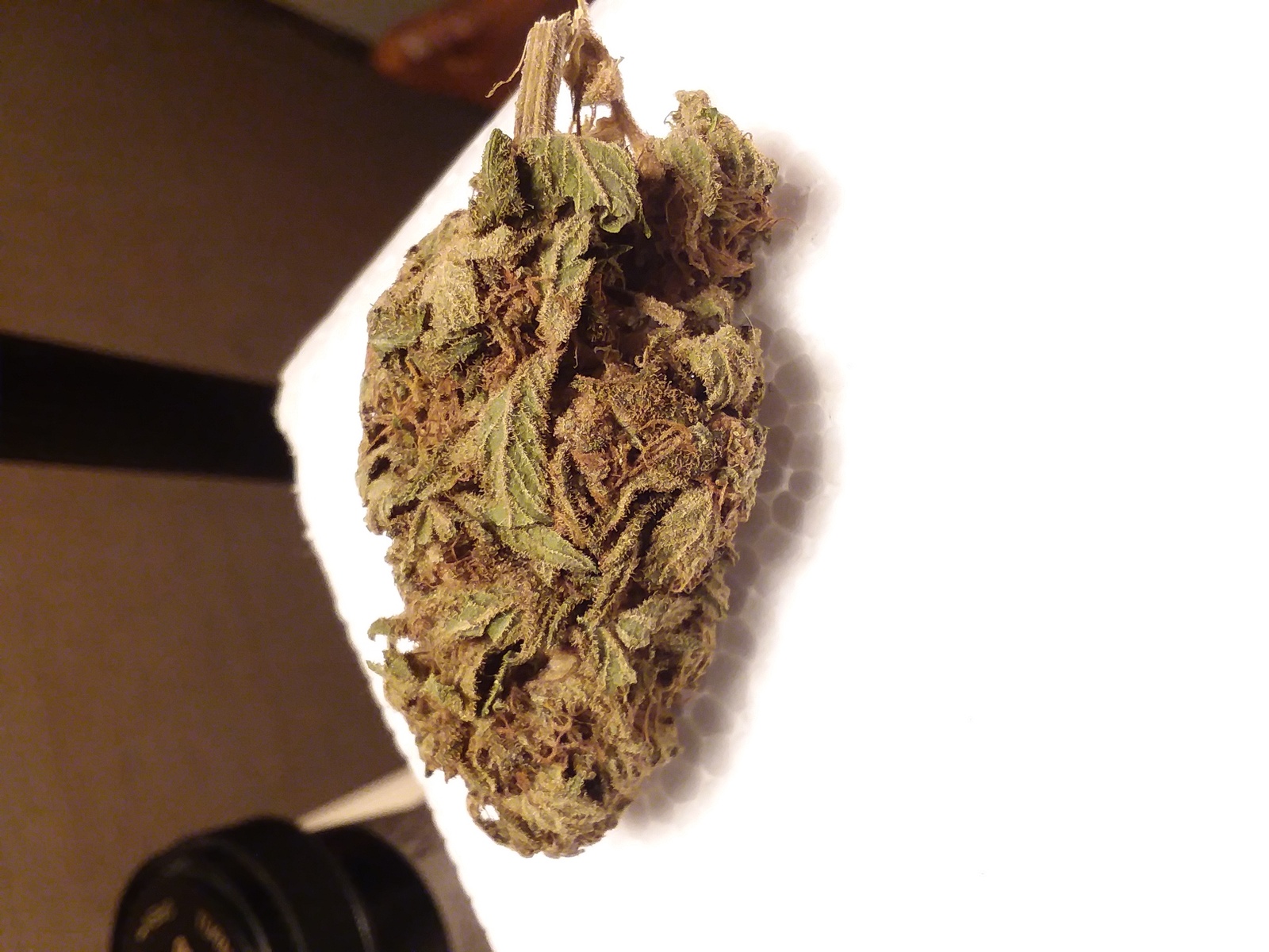 Afghan Goo