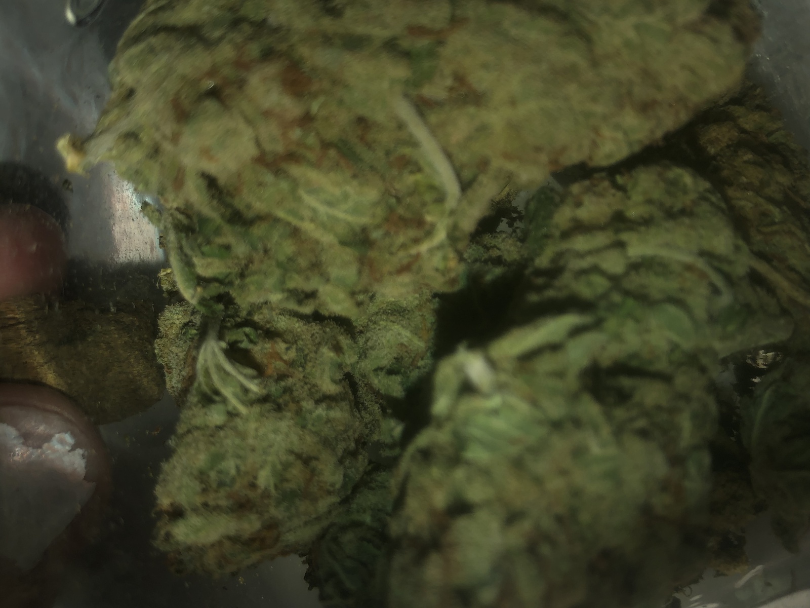 Afghan Haze