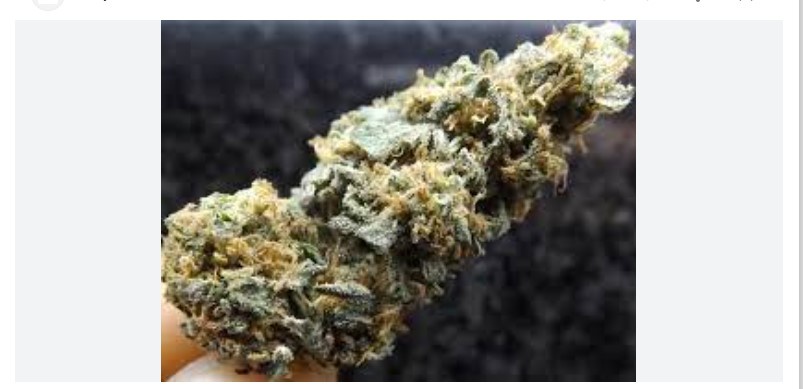 Afghani Dream