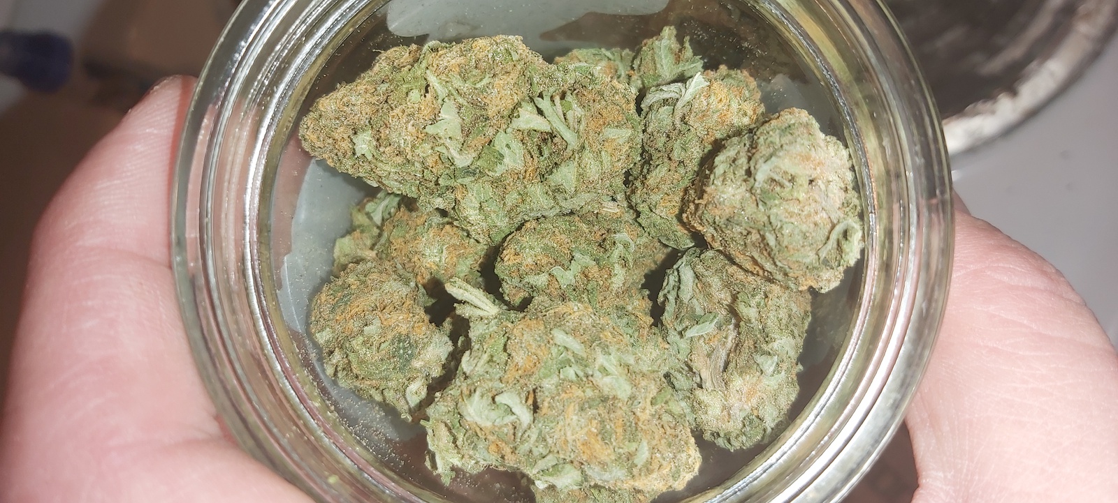 Alaska