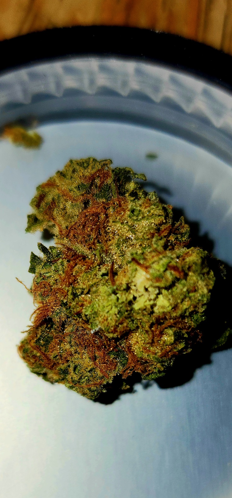 Alien Blackout