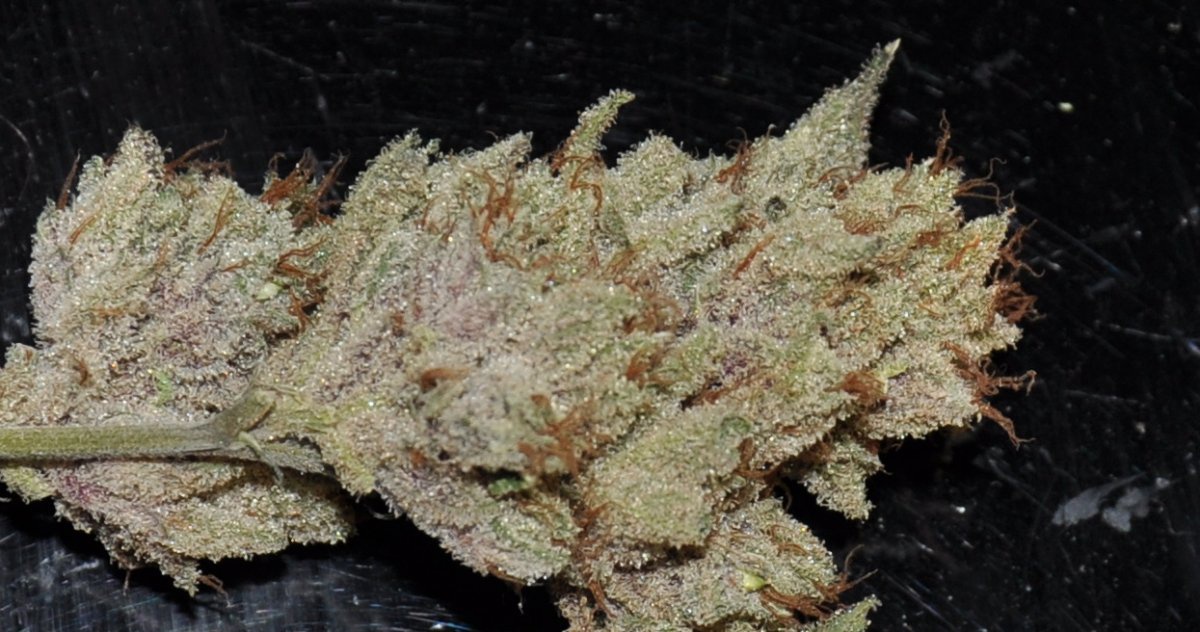 Alien Fire Fruit