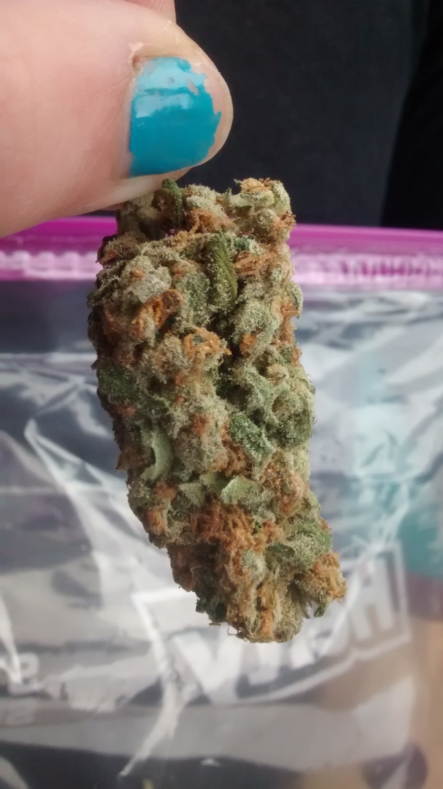 All Star Jack Frost