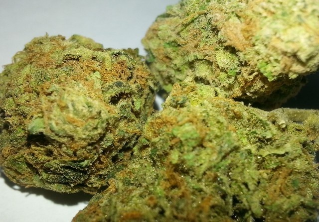 Amber Fire