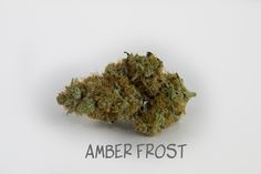 amber Frost
