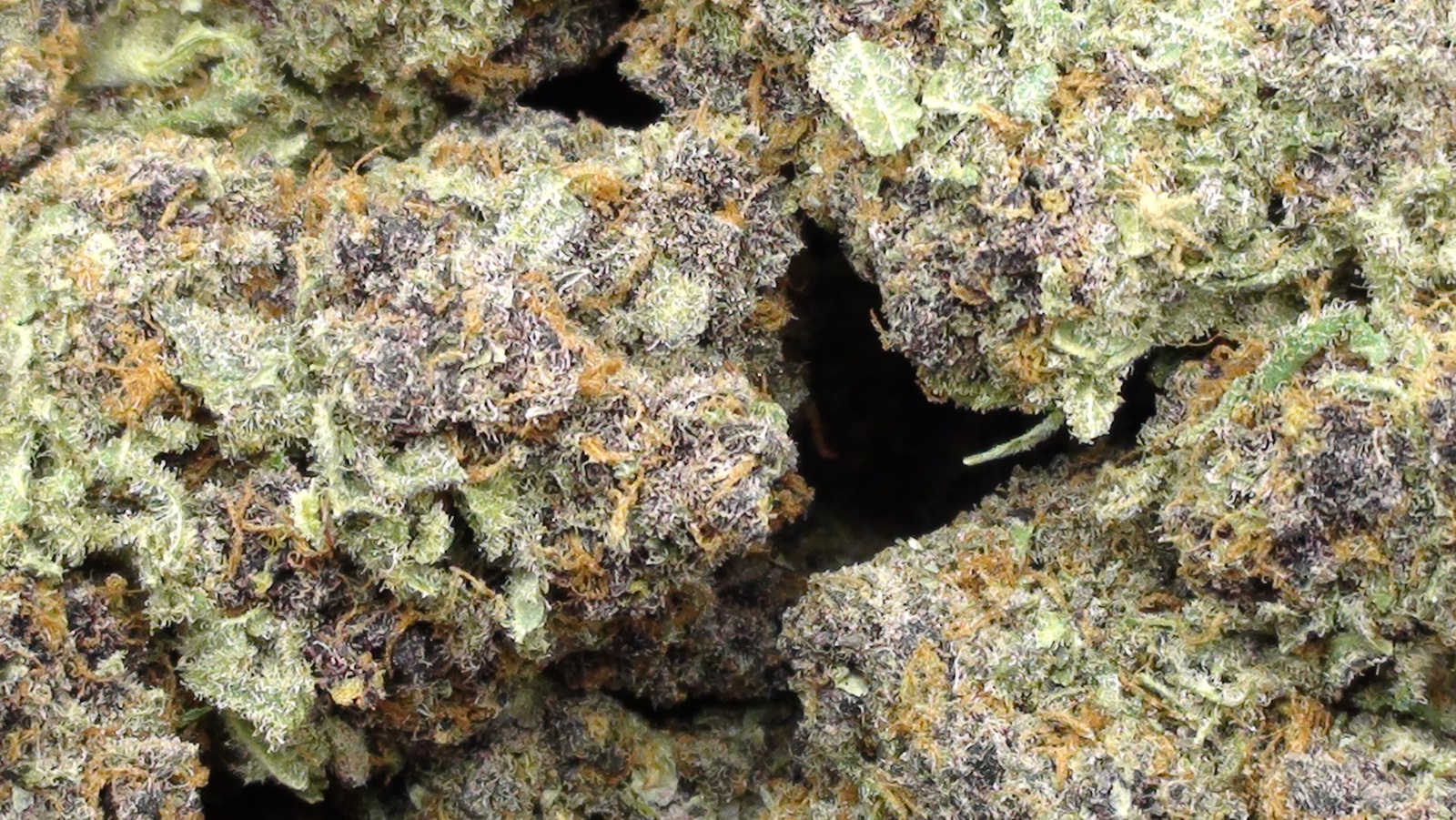 Amethyst Bud