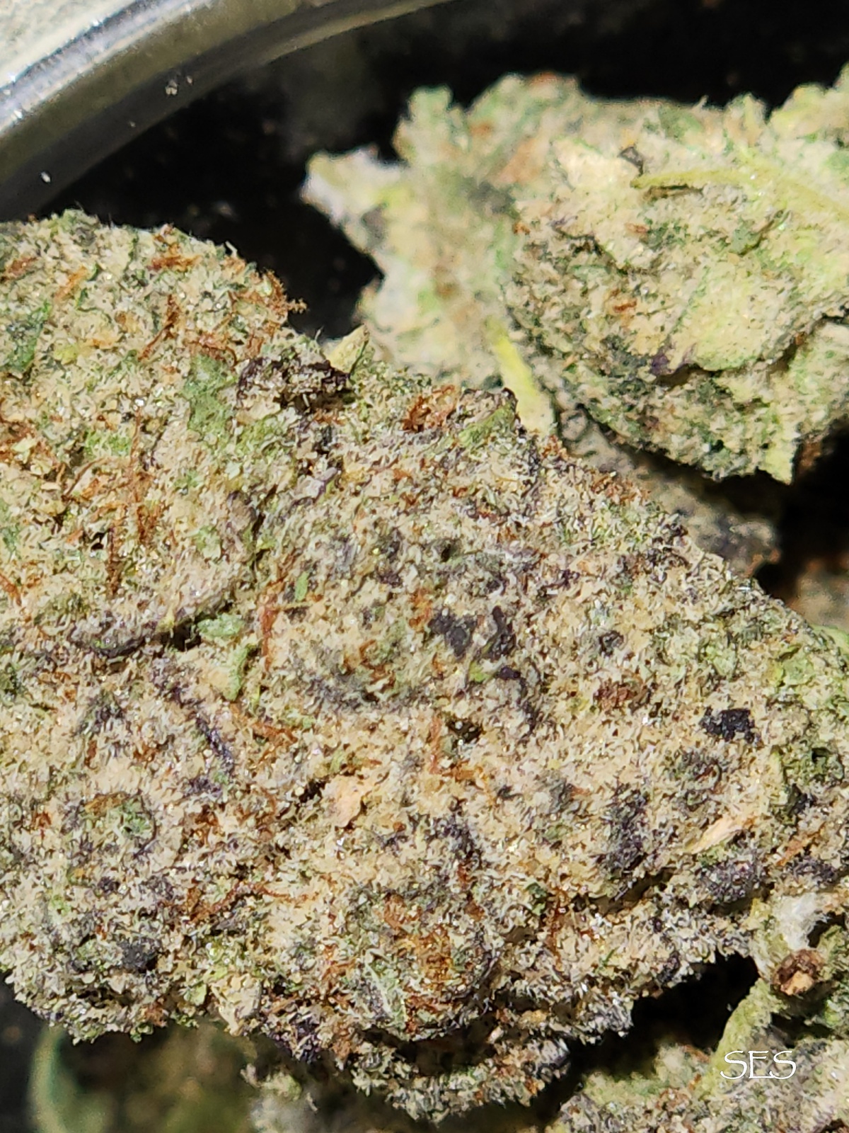 Amf OG