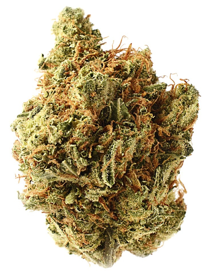Amnesia Cookies