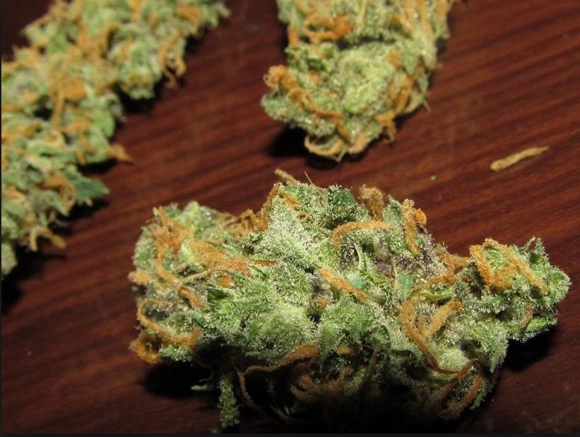Arjan's Haze #1