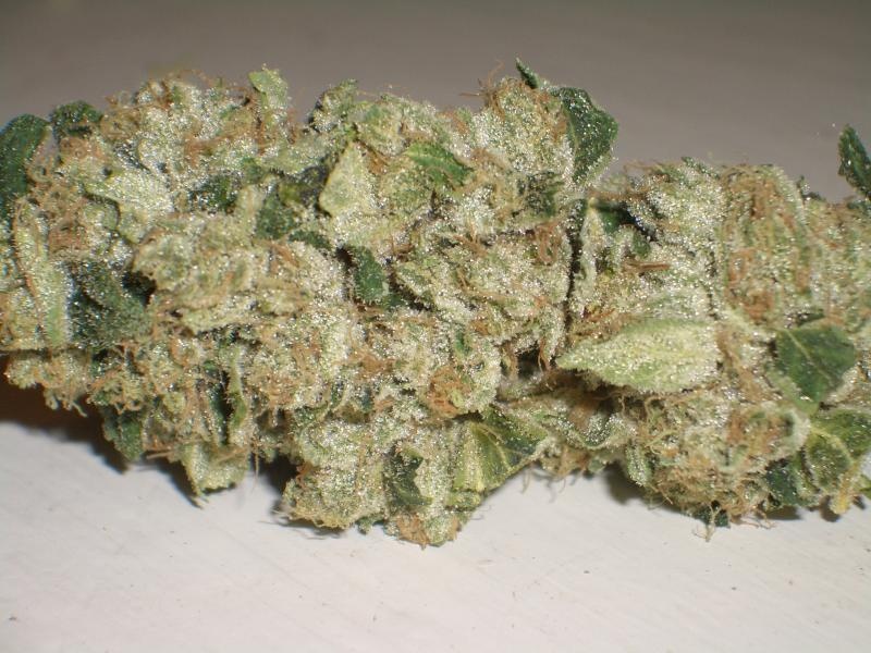 Aspen OG