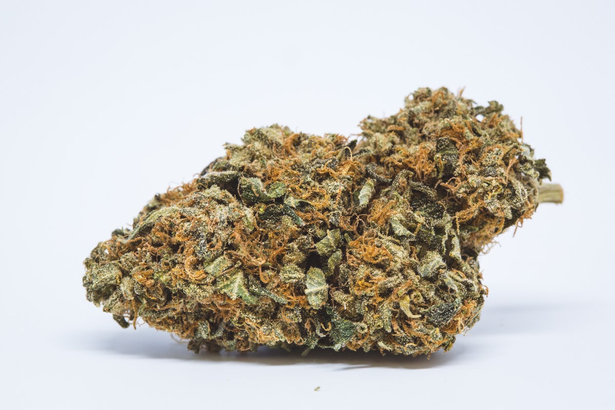 Auto Orange Bud