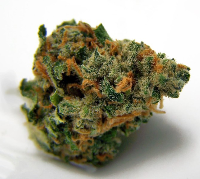 Banana Dream