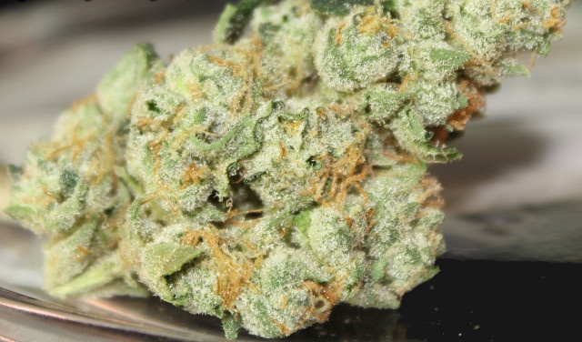 Banana Frost Kush