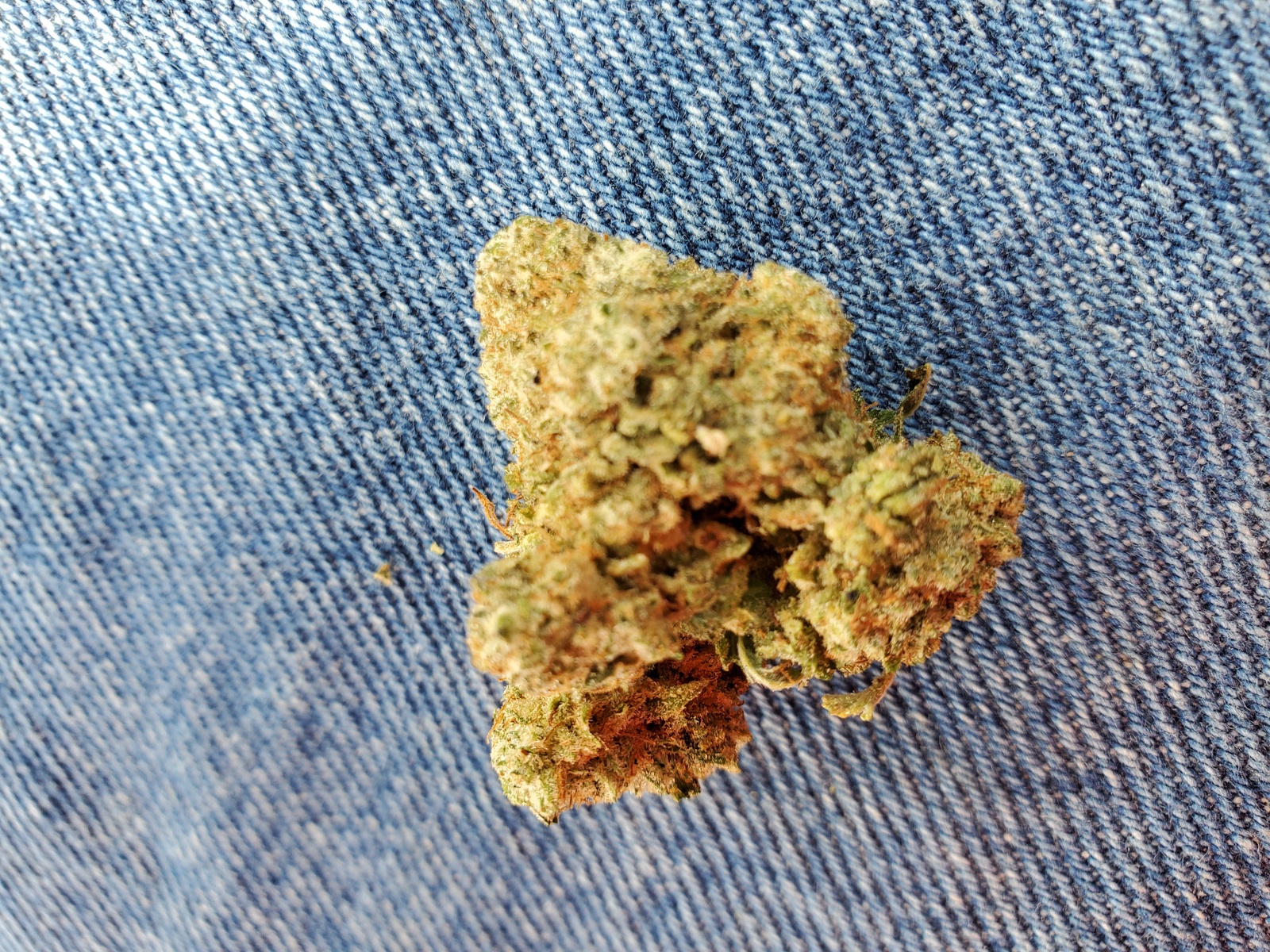 Bandit Breath