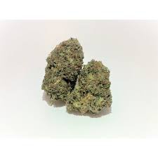 BC Mango