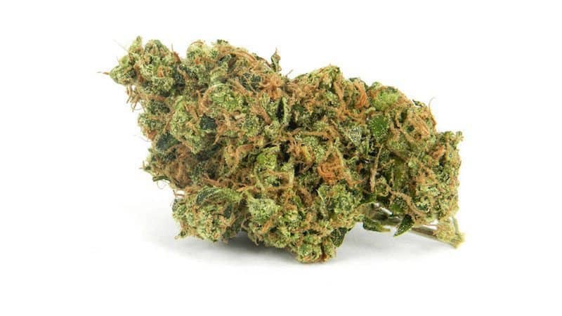 BC OG Sour Diesel