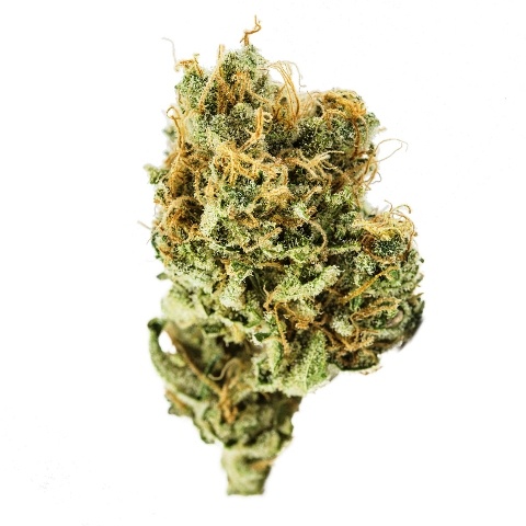 Bermuda Sour