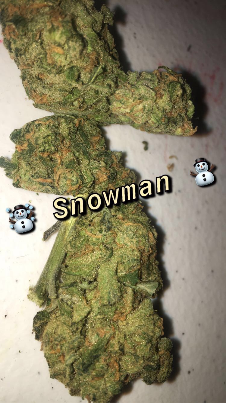 Berner's Snowman