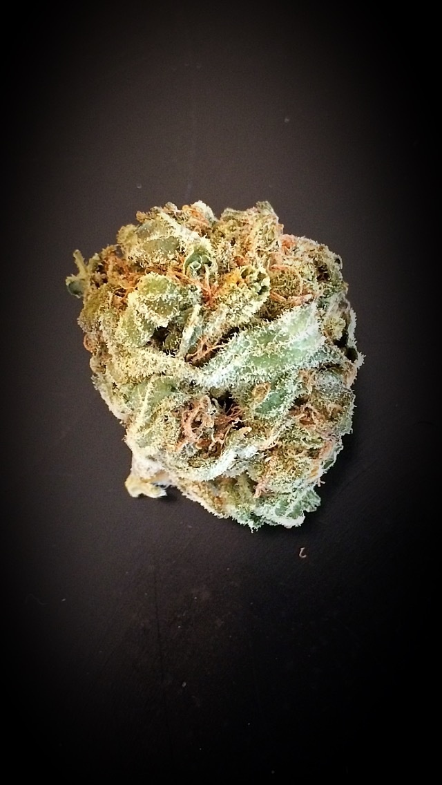 Berry Bomb